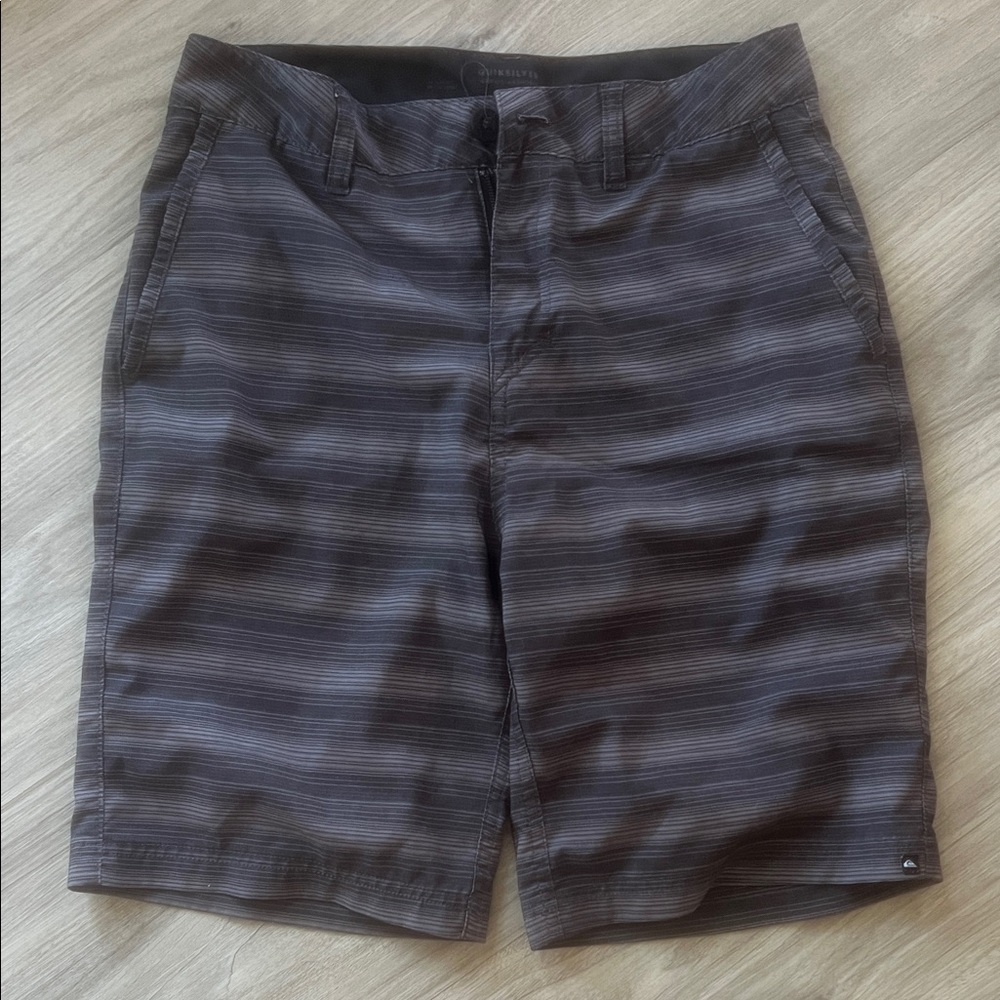 Quicksilver Amphibian Men's Gray Striped Shorts